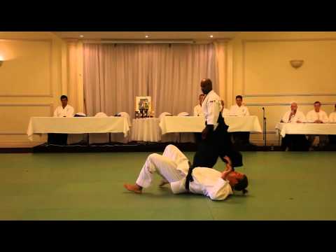 Excellent Aikido Demonstration