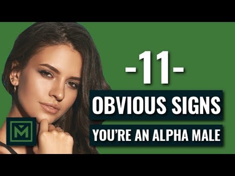 11 Signs You&#039;re An Alpha Male - Alpha Males vs Beta Males