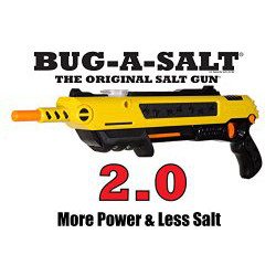 bug-a-salt