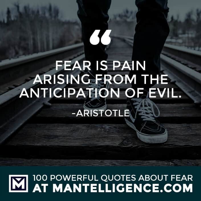 fear quotes #17 - Fear is pain arising from the anticipation of evil.