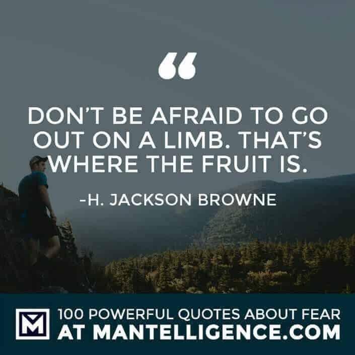 fear quotes #22 - Don't be afraid to go out on a limb. That's where the fruit is.