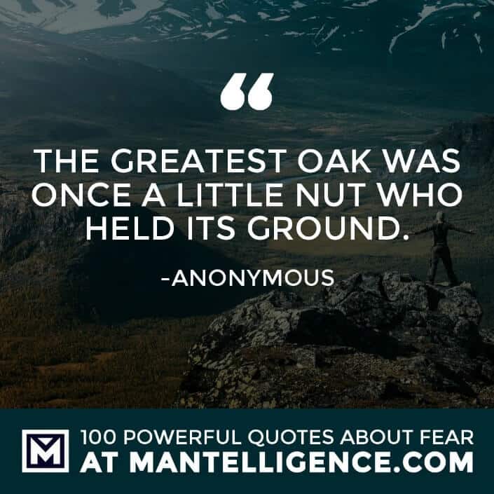 fear quotes #42 - The greatest oak was once a little nut who held its ground.