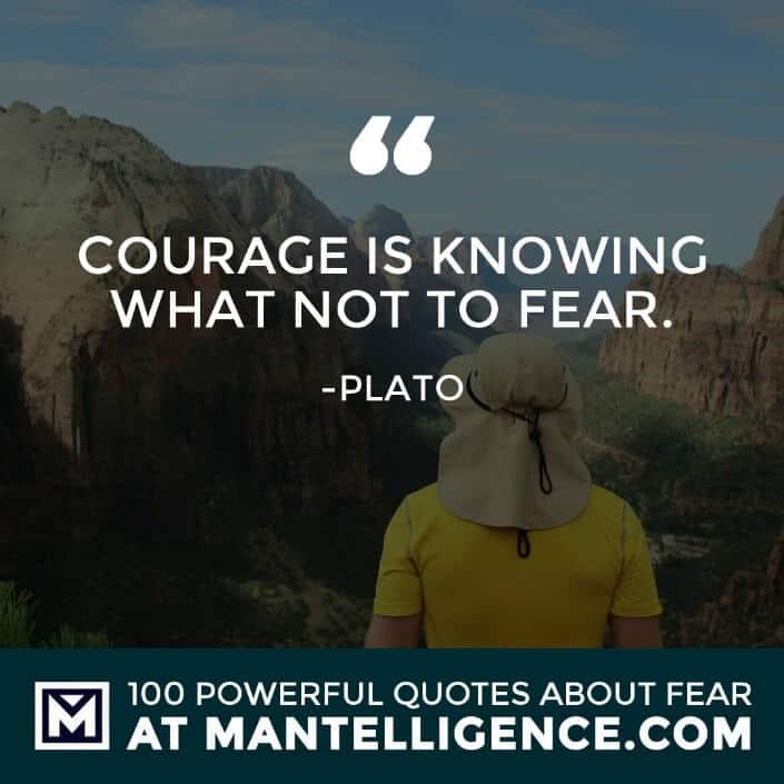 fear quotes #84 - Courage is knowing what not to fear.