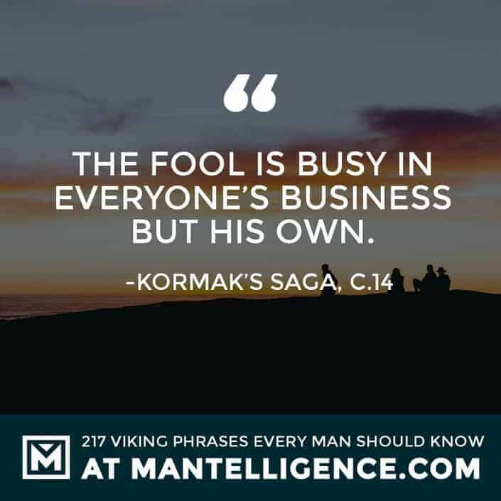 Viking Quotes - The fool is busy in everyone's business but his own.