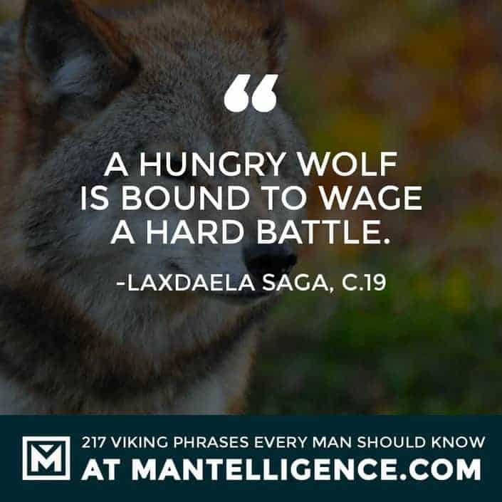 Viking Quotes - A hungry wolf is bound to wage a hard battle.