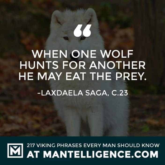Viking Sayings and Proverbs - When one wolf hunts for another he may eat the prey.