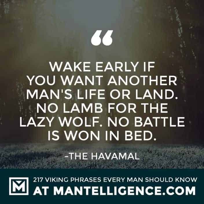 Havamal Quotes - Wake early if you want another man's life or land. No lamb for the lazy wolf. No battle is won in bed.