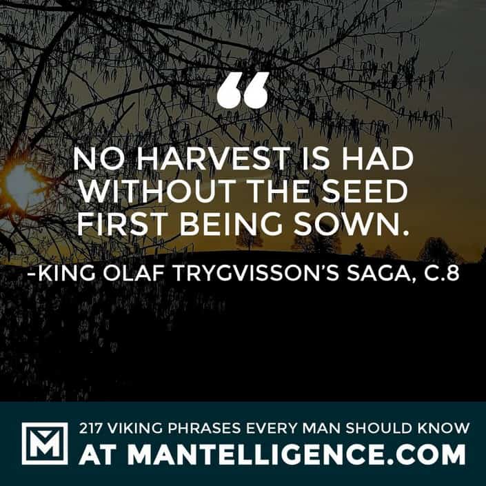 Norse Sayings and Proverbs - No harvest is had without the seed first being sown.