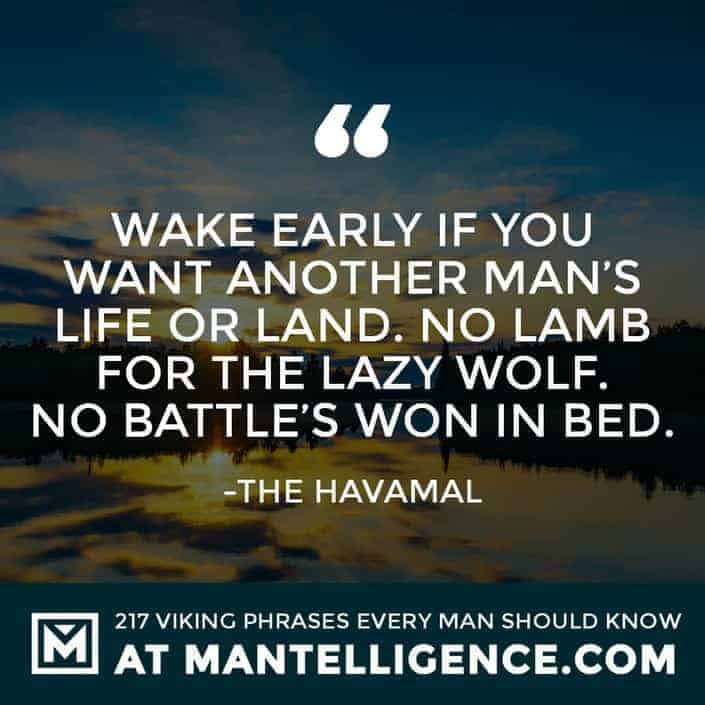 Havamal Quotes - Wake early if you want another man's life or land. No lamb for the lazy wolf. No battle's won in bed.