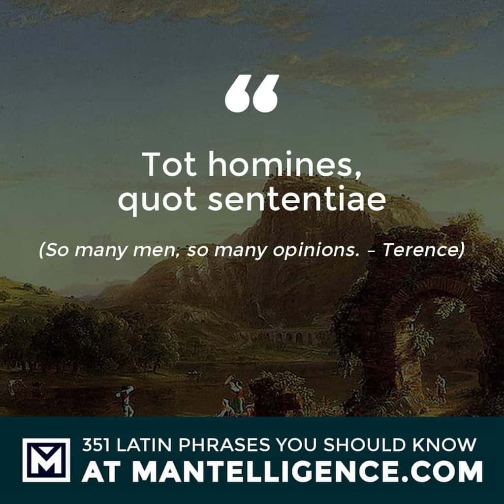 latin quotes - Tot homines, quot sententiae - So many men, so many opinions. - Terence