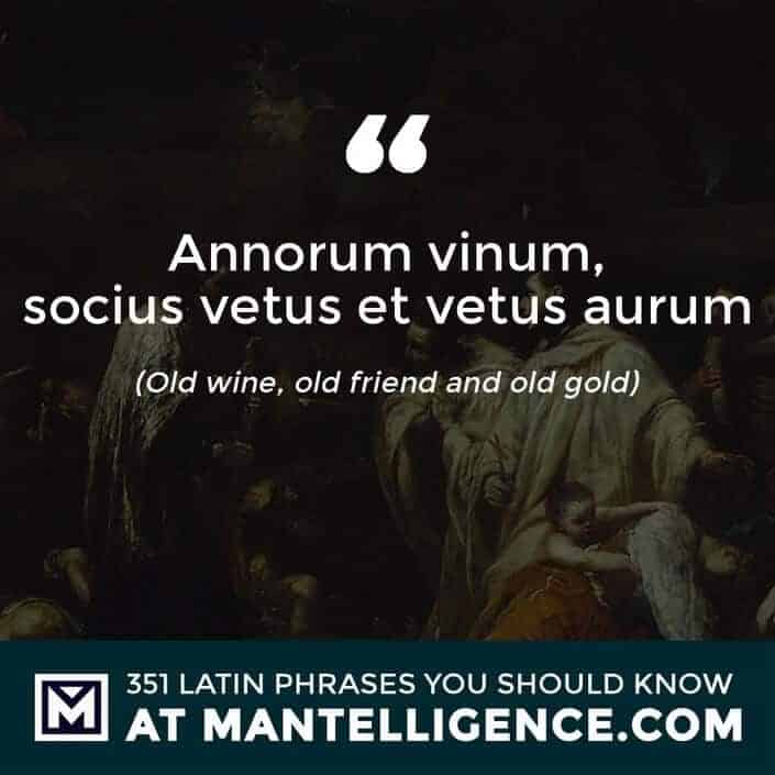Annorum vinum, socius vetus et vetus aurum - Old wine, old friend and old gold