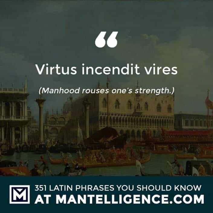 latin quotes - Virtus incendit vires - Manhood rouses one's strength.
