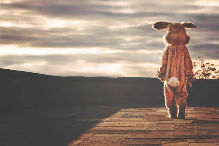 Guy in rabbit costume staring at sunset.