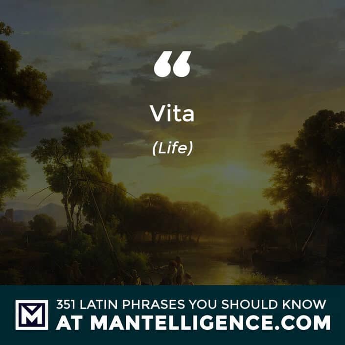 Vita - Life