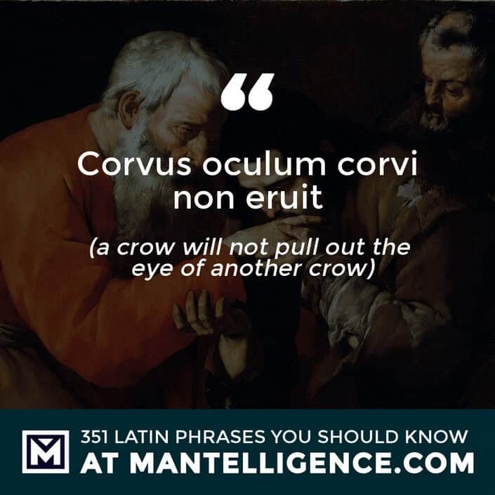 latin quotes - Corvus oculum corvi non eruit - meaning 