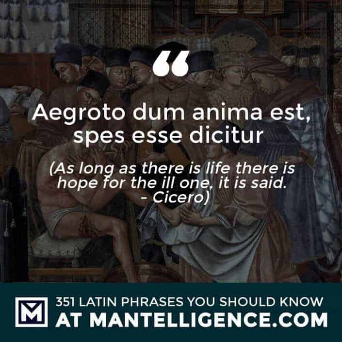 Aegroto dum anima est, spes esse dicitur - As long as there is life there is hope for the ill one, it is said. - Cicero