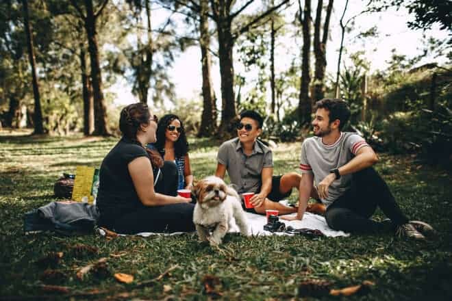 People Sitting on White Mat on Grass Field - 47 Funny Dares