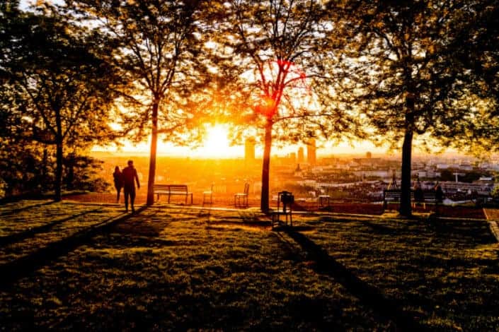 A beautiful sunset view from a city wood park.