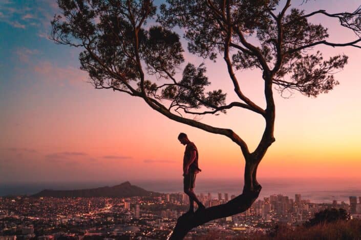 man-standing-on-tree-branch-during-sunset-pexels
