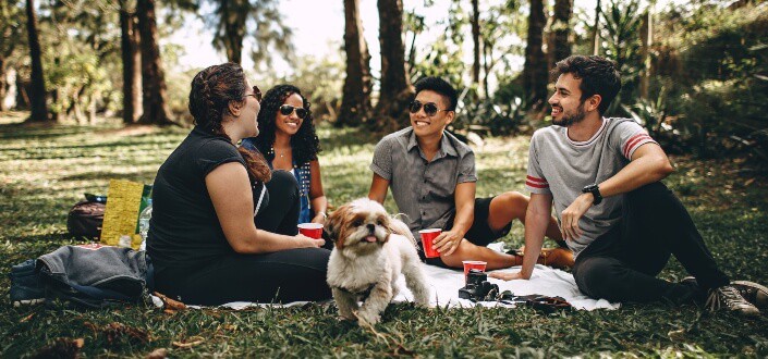 Group of friends having picnic with a dog