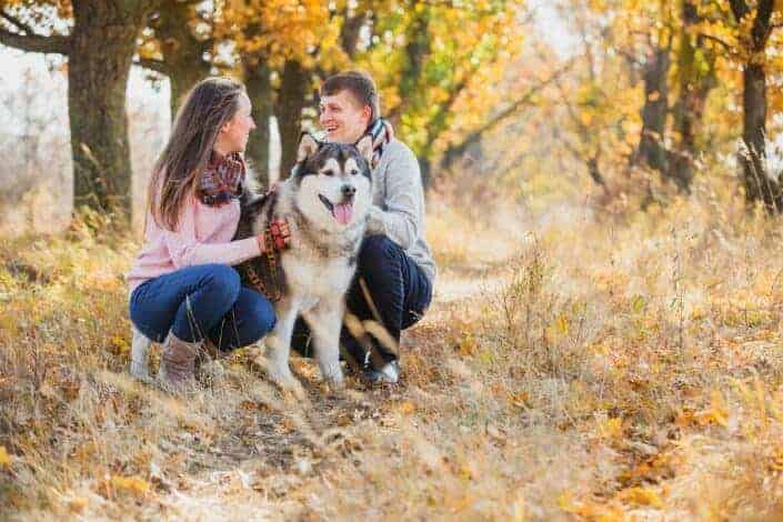 Couple having fun with their dog
