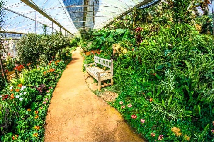 Second Date Ideas v2 - botanical garden