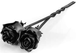 101 Birthday Gifts for Girlfriend - Iron Roses Twisted Together Forever
