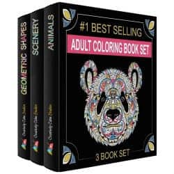 30. Adult Coloring Books Set