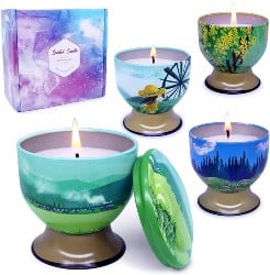 4 Set Soy Wax Scented Candles (1)