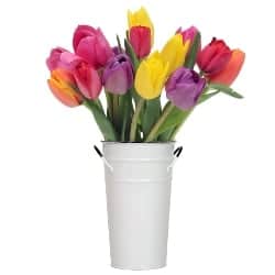Bouquet of Fresh Colorful Tulips with Vase (1)