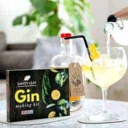 diy gifts for girlfriend - gin making kit