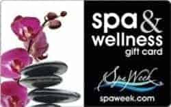 Gift Ideas for Wife - Massage & Wellness SPA Gift Card