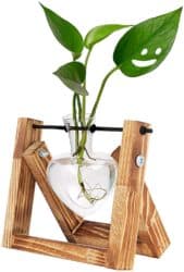 Heart Shaped Glass Vases in Wooden Rack Stand