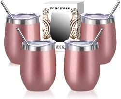 Stainless Steel Wine Tumbler (1)