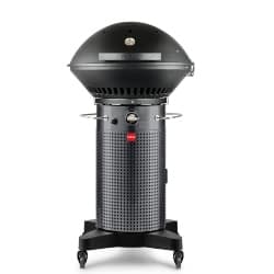 best grills - Fuego F24C Professional Propane Gas Grill