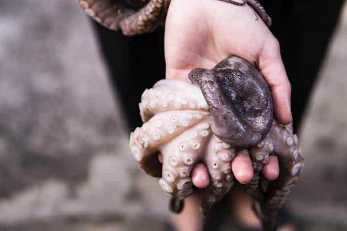 man holding an octopus