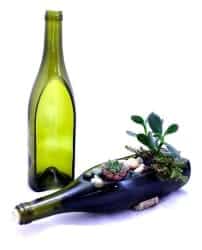 Upcycled Wine Bottle Planter (1)