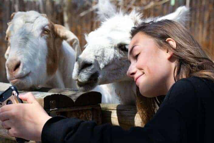 birthday ideas for wife-Try the zoo.