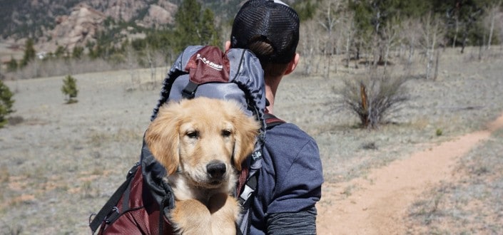 man and his dog going for a hike