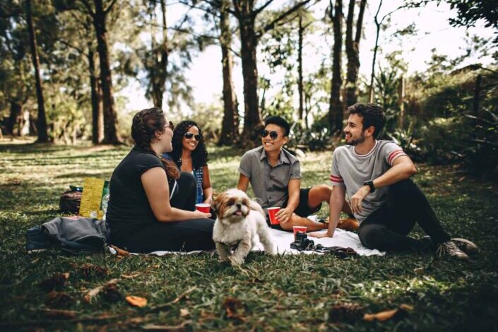 Friends having a picnic in the forest
