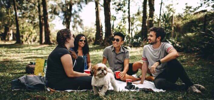 Friends having a fun conversation in picnic