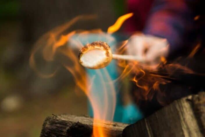 person toasting marshmallow on fire