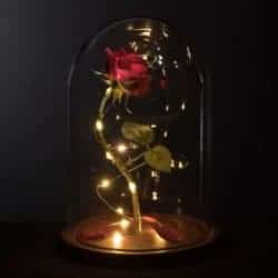 Beauty and the beast rose