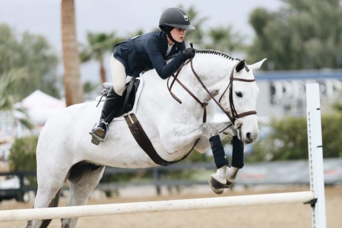 Expensive Hobbies - Equestrianism.jpg