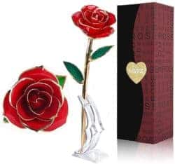 Birthday Gift Ideas For Girlfriend That Can Be For Valentine's - Gold Dipped Rose