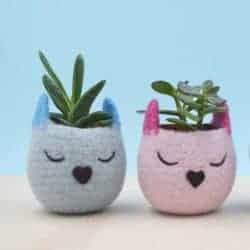 Birthday Gift Ideas For Girlfriend That Can Be For Valentine's - Succulent planters