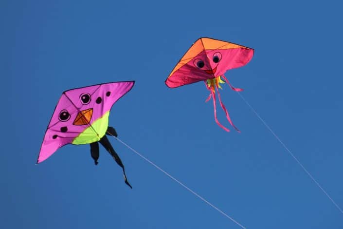 Fly a Kite.jpg
