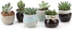 best birthday gift ideas for girlfriend - Small Ceramic Succulent Pots