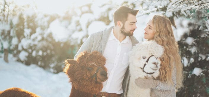 Couple with their pet llama