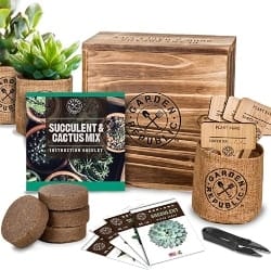 Cactus Succulent Seed Starter Kit (1)